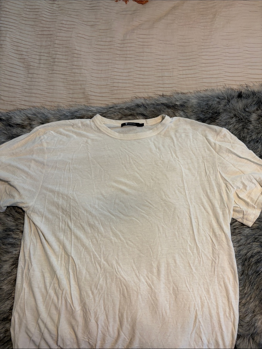Alexander Wang Men's Crew Neck Tee in Off-White/Cream